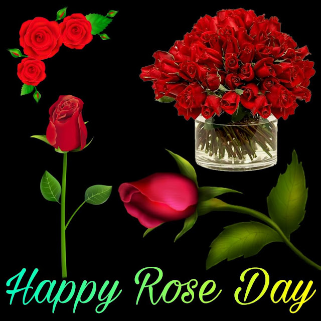 Happy Rose Day Images for Whatsapp