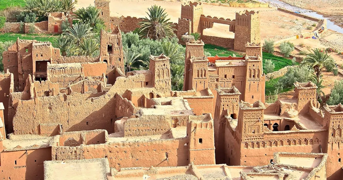 Africa's Health Renaissance: A Call from a Moroccan Expert