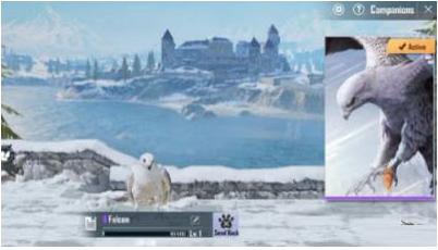 Ini Dia Empat Fungsi Dari Burung Falcon Saat Bermain Pubg