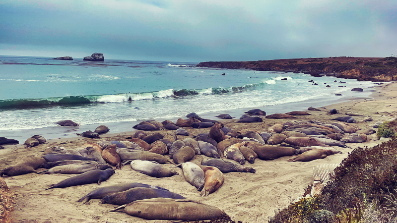 Great Road Trips: Pacific Coast Highway