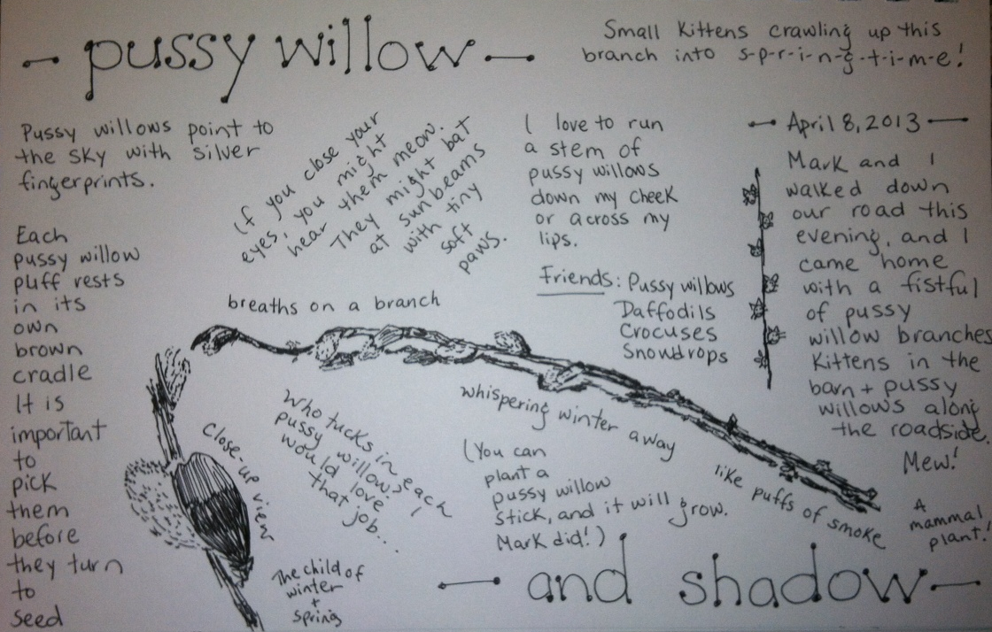 Pussy Willow Poems 91