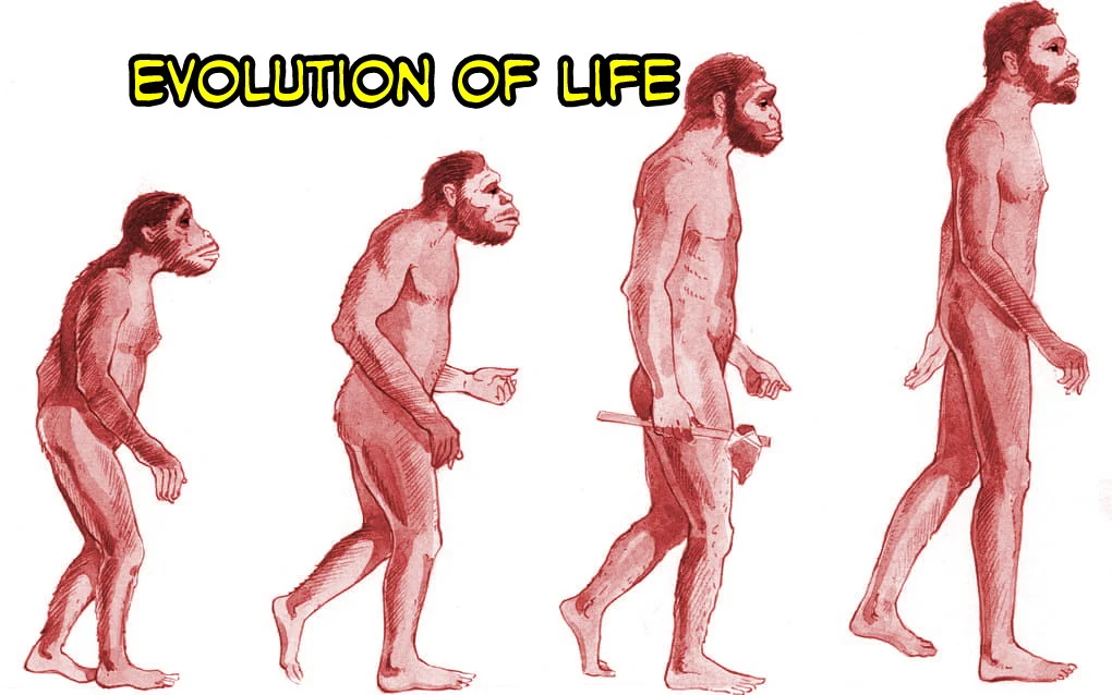 origin and evolution of life notes