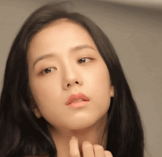 신년맞이 블랙핑크 지수 레전드 움짤 모음(※데이터조심)