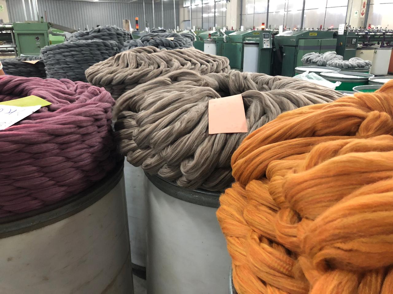 Alpaca wool: one of the finest natural fibers in the world