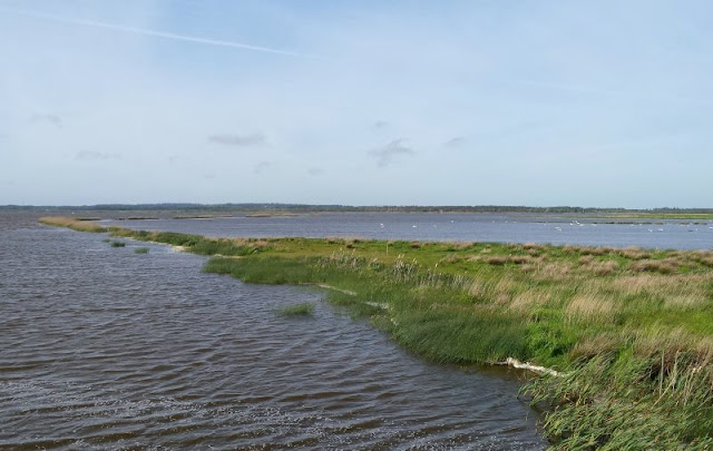 Aus unserem Dänemark-Urlaub: Wunderschöne Ausflugsziele rund um Houstrup. Teil 1: Strände, Häfen und einzigartige Natur. Hier: See Filsö Filso.