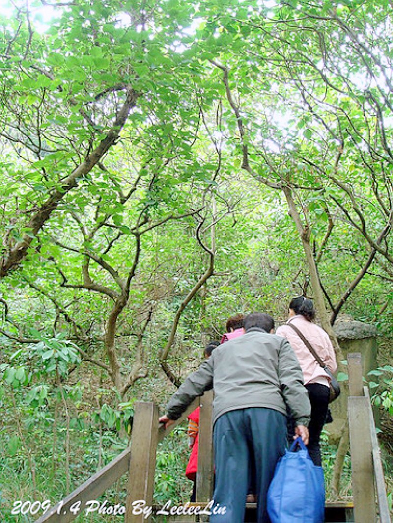 半屏山自然公園|壽山國家自然公園|高雄左營景點