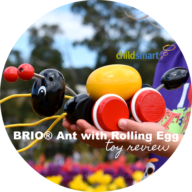 brio ant