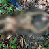 Corpo é encontrado decapitado em área de mata no interior do Amazonas
