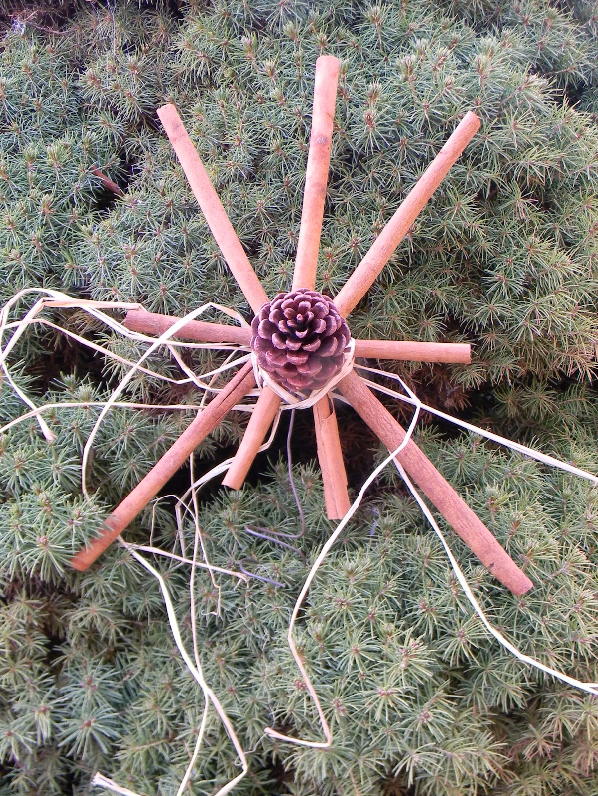 Artistic Endeavors 101 Cinnamon Stick Tree Topper