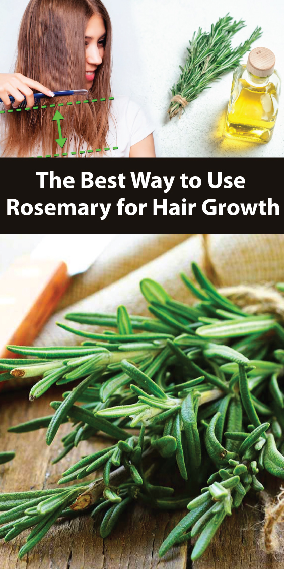 The Best Way to Use Rosemary for Hair Growth KrobKnea