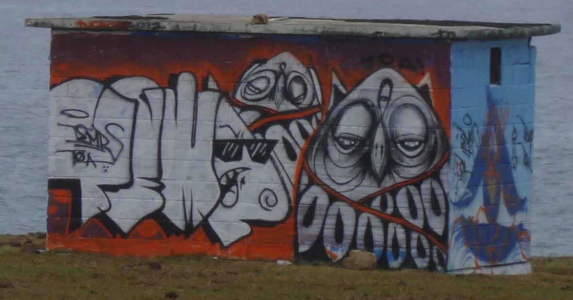 Neato Great White Shark