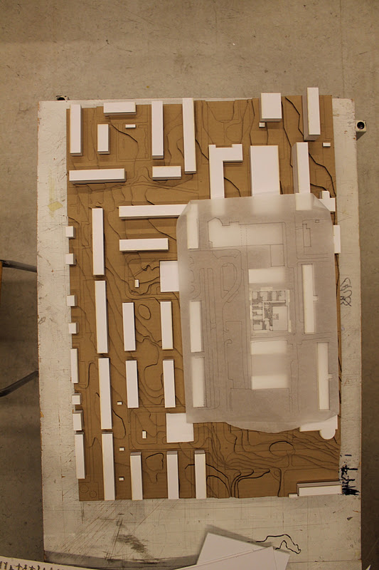 Can abd be called doctor image