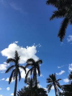 Weather the Whether