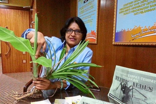 ss20-petaling-jaya-new-breeding-spots-for-aedes
