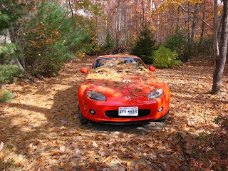 My Miata, camouflaged and hiding in the woods