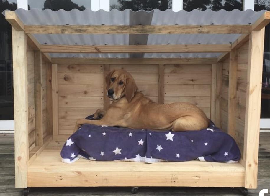 Tarimas Camitas Para Perros Con Palets Tarimas Cama De Perro Hecha