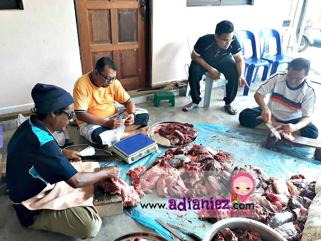 Aidil Adha | Bersatu Bersama Berkorban ::: Kerbau