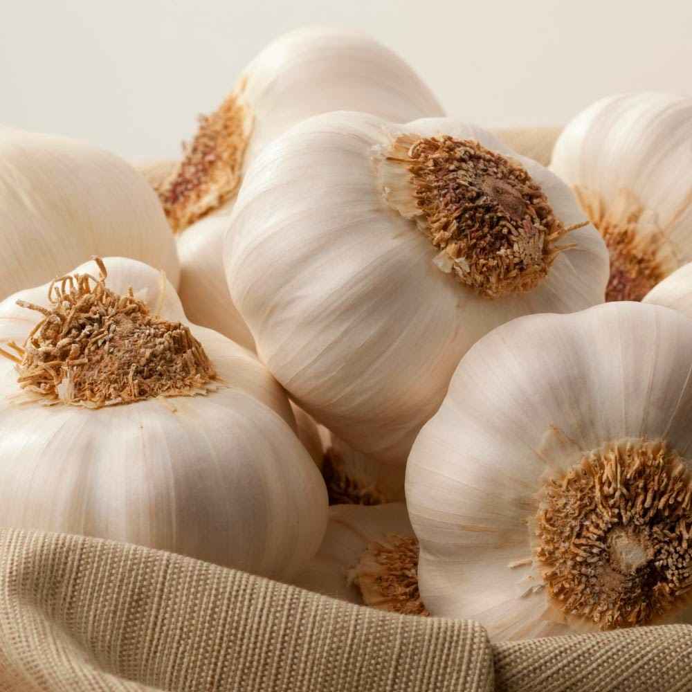 Garlic to Cure Skin Fungus Natural Alternative Medicine
