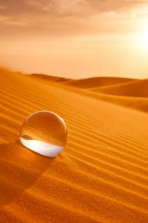 A drop in the desert