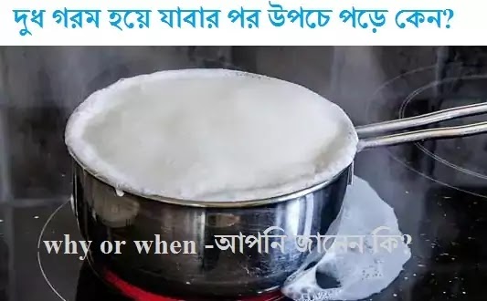 দুধ গরম হলে উপচে পড়ে কেন?