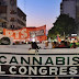 (video) MARCHA NACIONAL DE LA MARIHUANA: MILES DIJERON "CANNABIS AL CONGRESO"