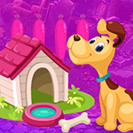 Games4King - G4K Find My Dog House Game