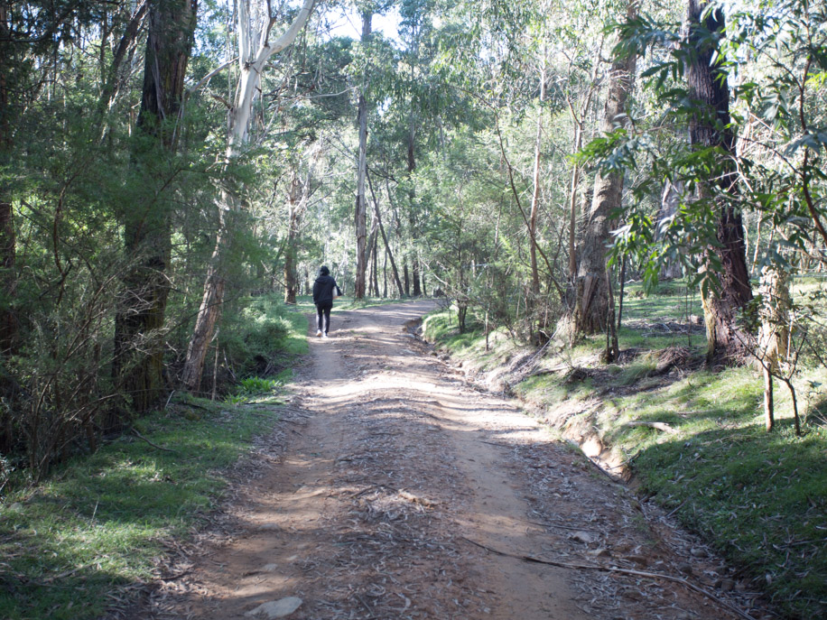 Majors Creek Falls, Majors Creek SCA