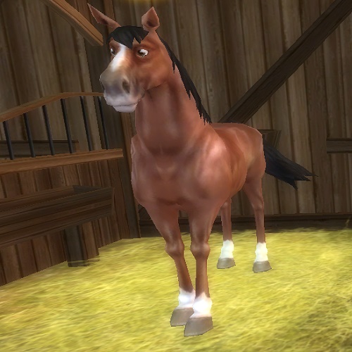 Star Stable Daily Horse Breeds
