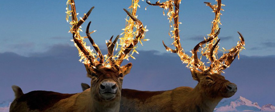 Noël chez les suédois Noël chez les suédois