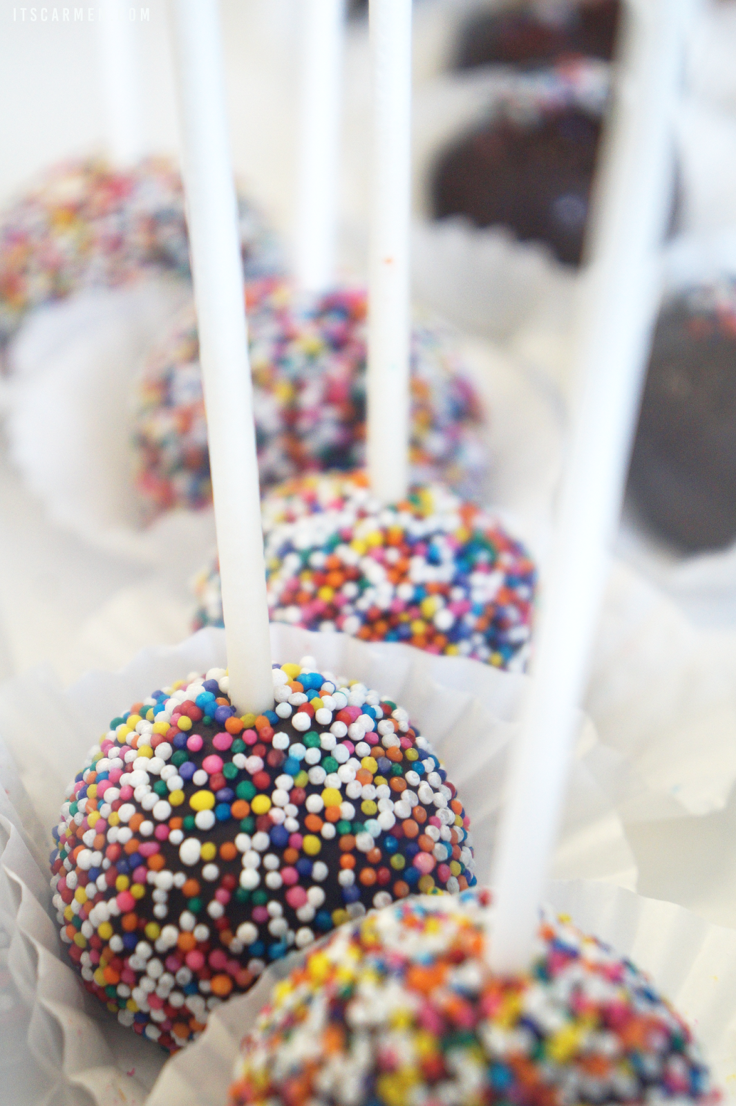 Sugar, Spice, & Everything Nice at Sensitive Sweets / Carmen Varner