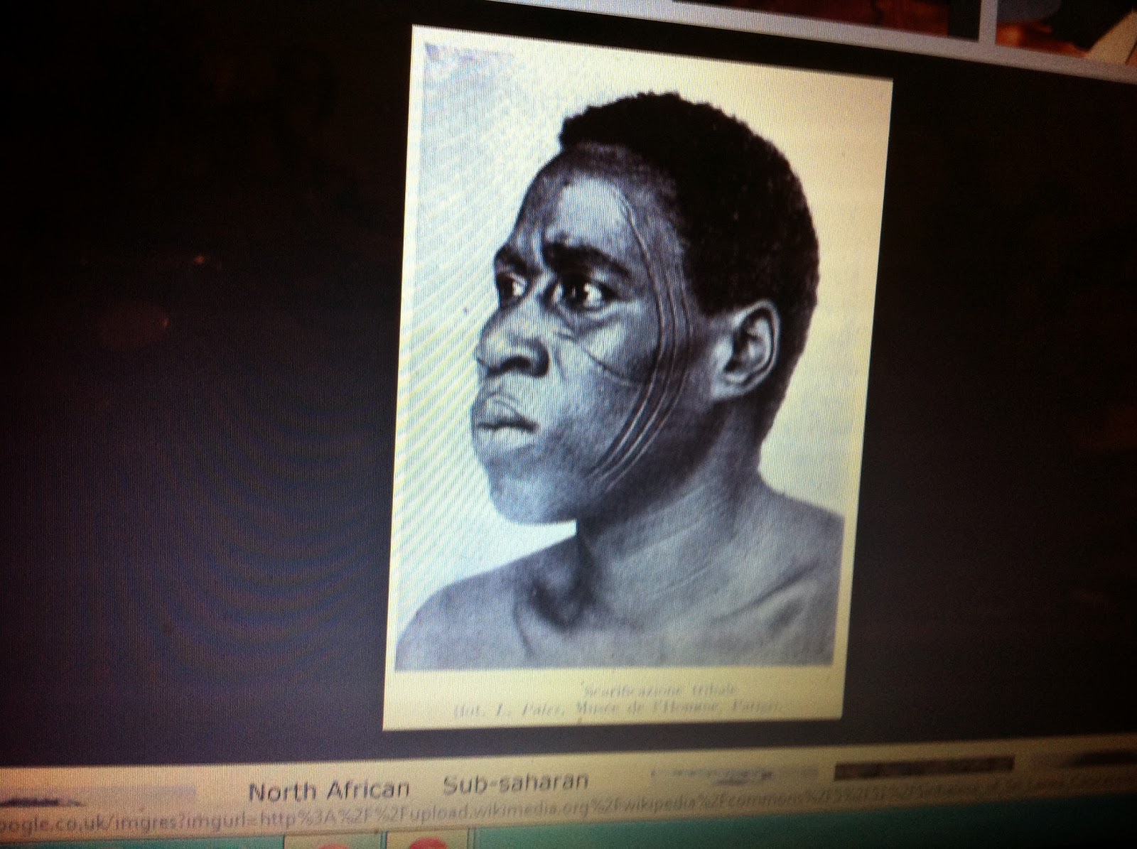 THE BLACK SOCIAL HISTORY:: BLACK SOCIAL HISTORY : NEGROID - IS THE TERM ...