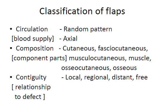 classificatin of flags