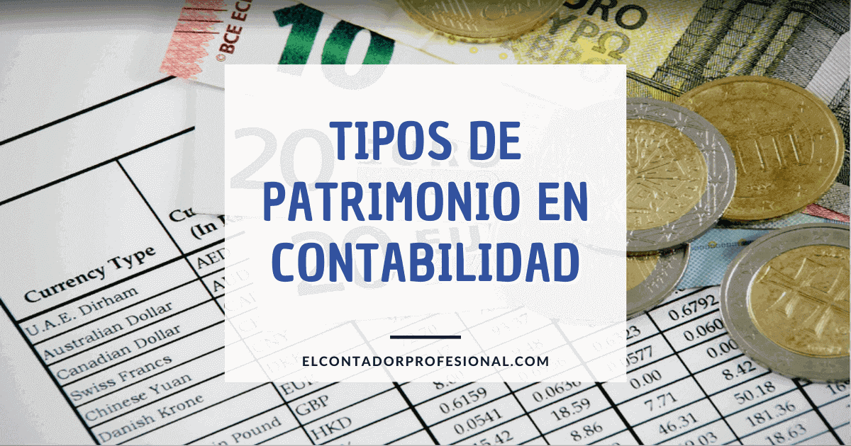 Tipos de Patrimonio en Contabilidad Contador