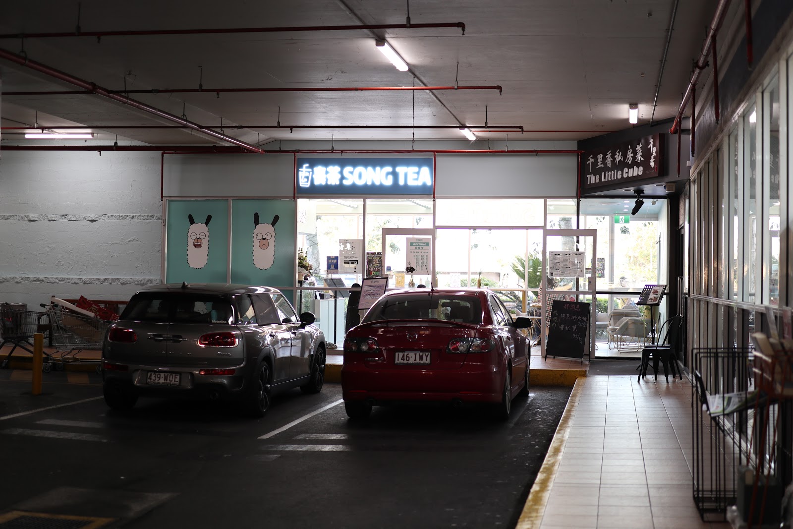 Espresso & Matcha Song Tea Sunnybank