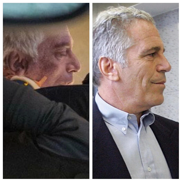 Epstein's dead ringer
