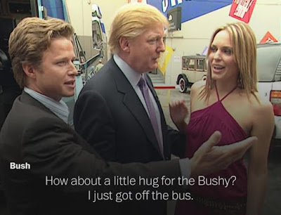 bush8n-3-web.jpg