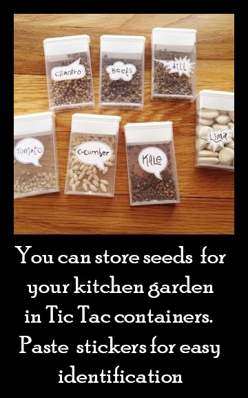 You can store seeds  for your kitchen garden in Tic Tac containers.  Paste  stickers for easy identification.