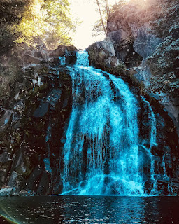 youngs river falls