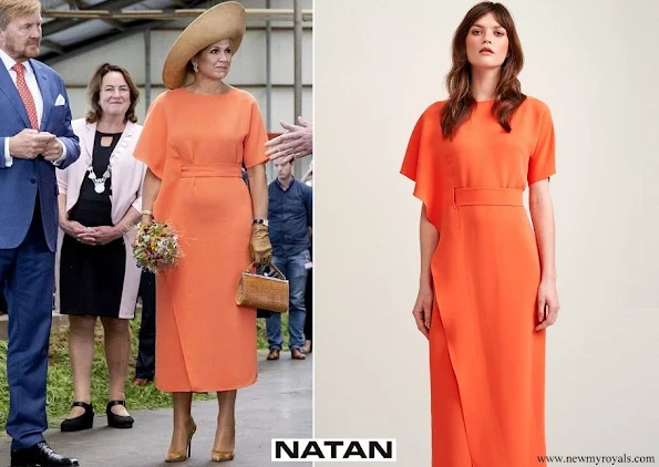 Queen Maxima wore a new dress from Natan