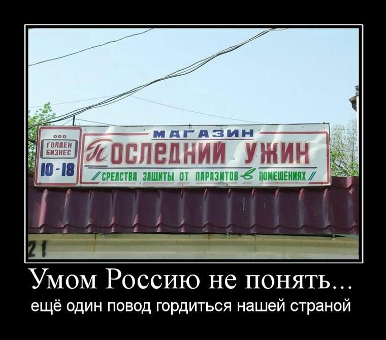 Умом россию не понять картинки прикольные
