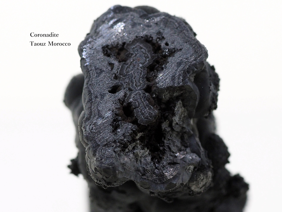 コロナダイト コロナド鉱 Coronadite