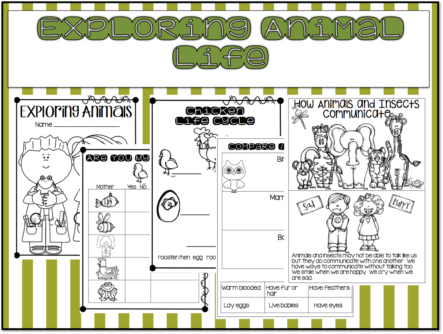 1st Grade Hip Hip Hooray!: Animal and Plant Life...NGSS 1st Grade