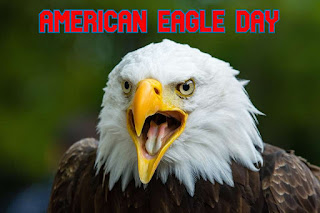 National American Eagle Day HD Pictures, Wallpapers