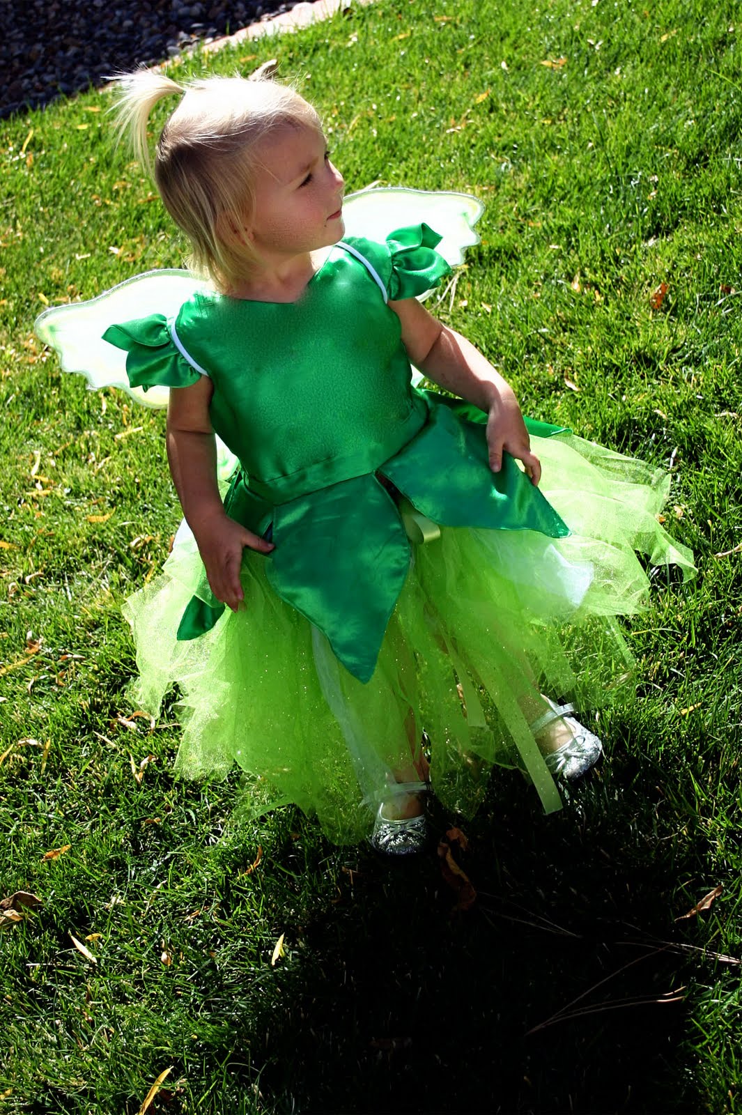 A Couple of Craft Addicts: Tinkerbell Costume