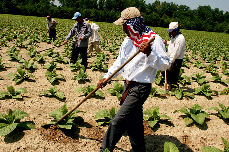 MEC&F Expert Engineers Agriculture ranks among the most hazardous