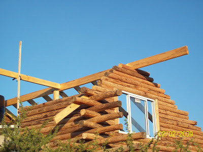 GUÍA PARA CONSTRUIR UNA CABAÑA CON TRONCOS.