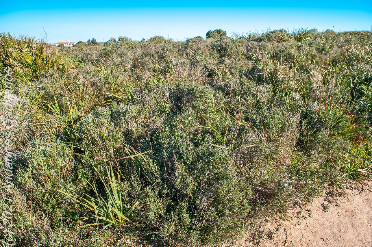 . CIRCULAR AL COMPLEJO ENDORRÉICO DEL