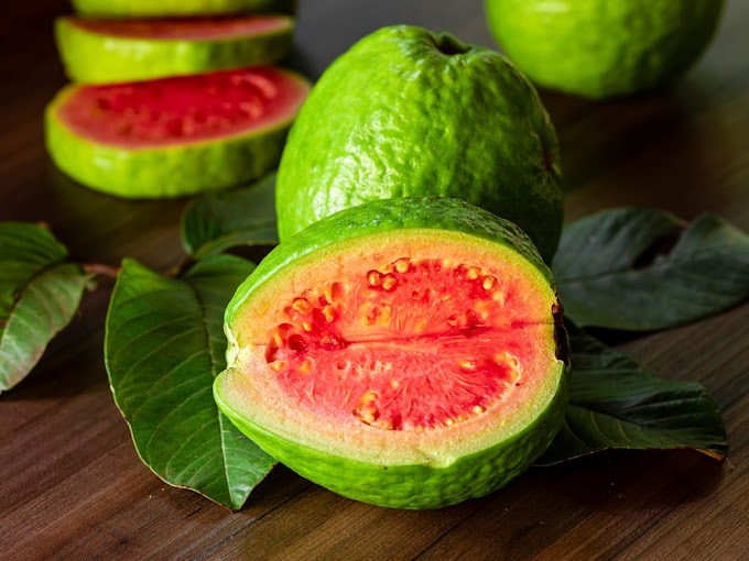 దివ్యఔషధం జామ - Guava is a divine medicine for good health
