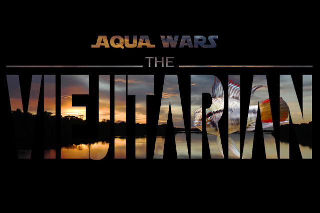 Aqua Wars The Viejitarian