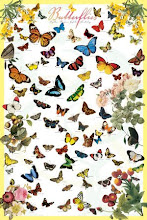 BUTTERFLIES